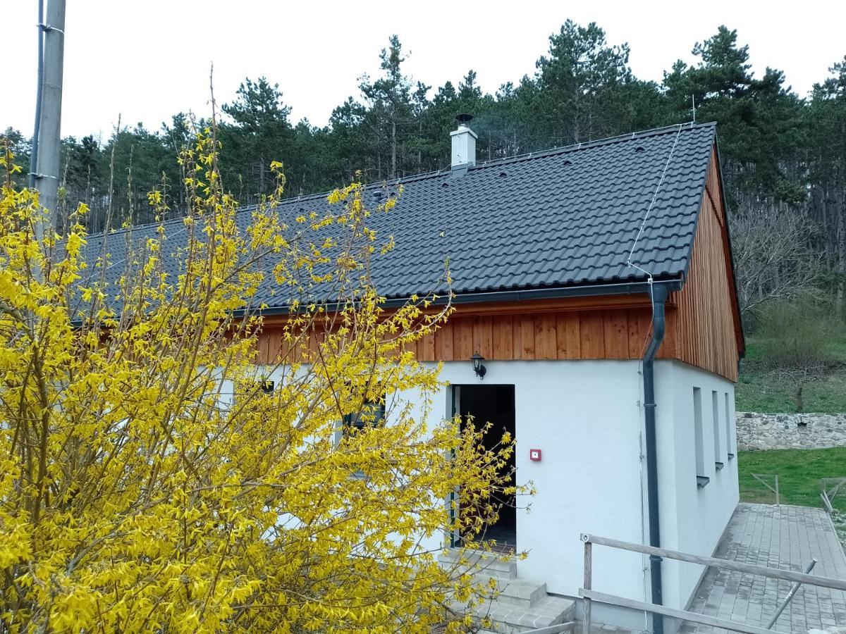 Penzion Litohlavy 17 - Na Samote U Lesa Králŭv Dvŭr Eksteriør billede